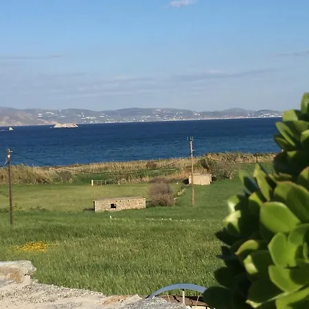 Depis Bay Plaka (Naxos)